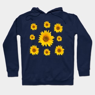 Sunflowers Bloom in a Blue Background - Groovy Summer Hoodie
